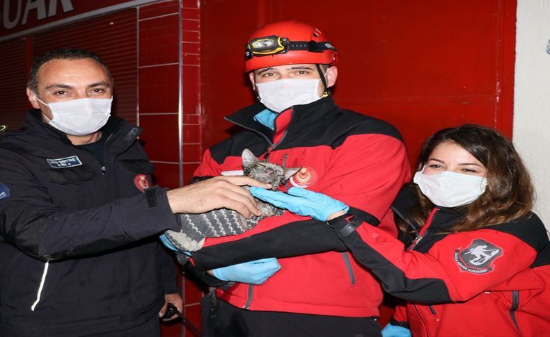 Yangında mahsur kalan vatandaş ile kedisi kurtarıldı