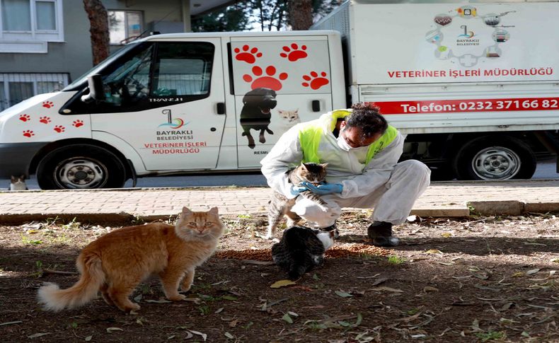 Bayraklı Belediyesi veterinerleri, her gün can dostları bekliyor