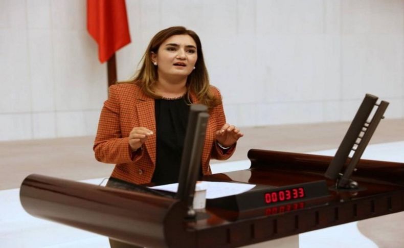 CHP'li Kılıç: İzmir’in ciğerleri yanınca değil, yanmadan önce önlem alınsın