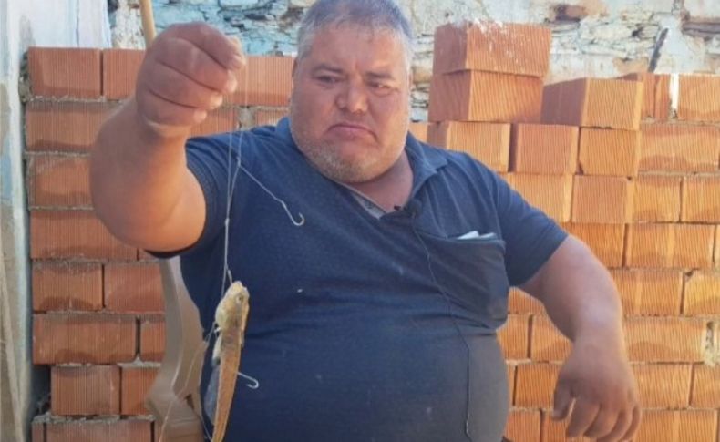 Dünyanın en zehirli balığı, İzmirli amatör balıkçıyı hastanelik etti