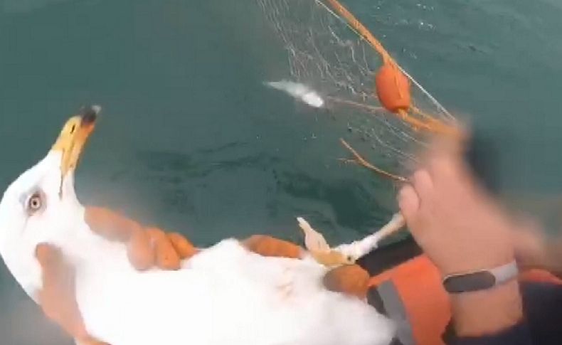 İzmir'de ağa takılan martıyı Sahil Güvenlik ekibi kurtardı