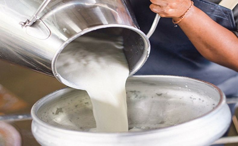 İzmir'de bayram sürecinde kooperatiflerin süt alımı devam edecek