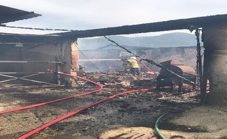 İzmir'deki hayvan çiftliğinde korkutan yangın