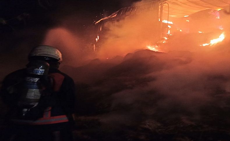 Manisa'da besi çiftliğinde yangın
