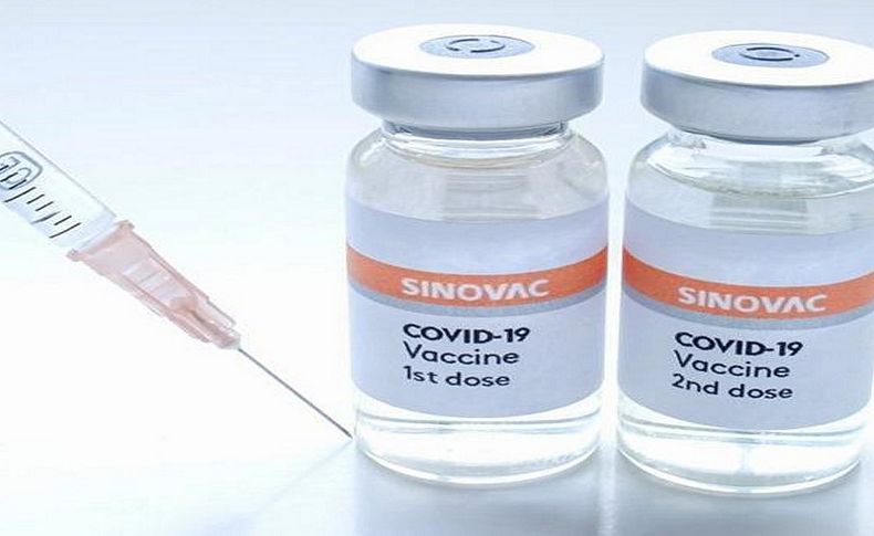 5 milyon SinoVac aşısı Türkiye'ye geldi