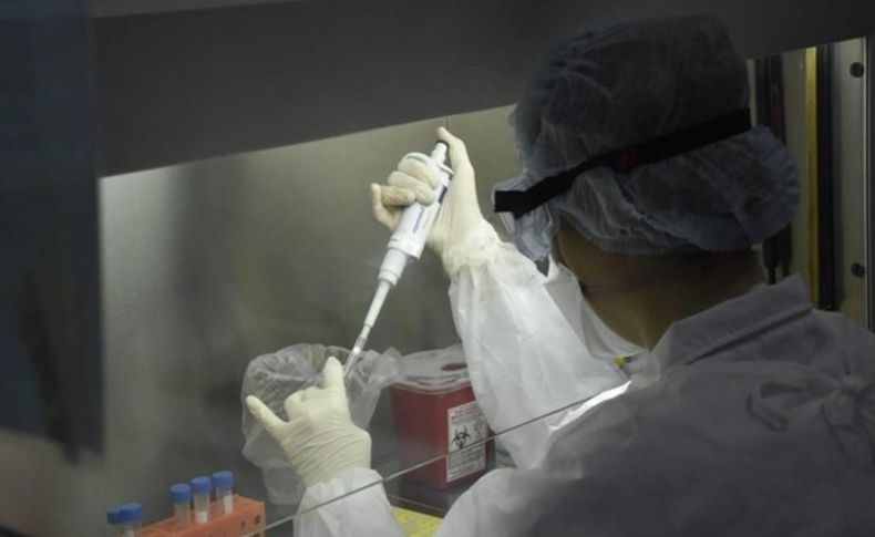 Bir ülkede daha corona virüs bağlantılı Kara Mantar vakası görüldü