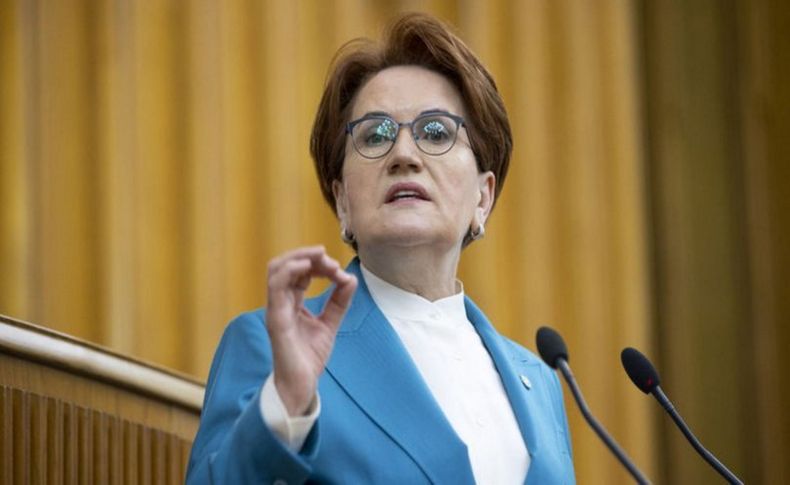 İYİ Parti lideri Akşener'den müsilaj açıklaması