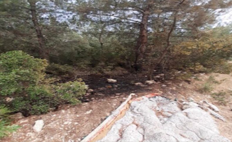 İzmir'de 4 ayrı noktada ormanı yakan terörist tutuklandı