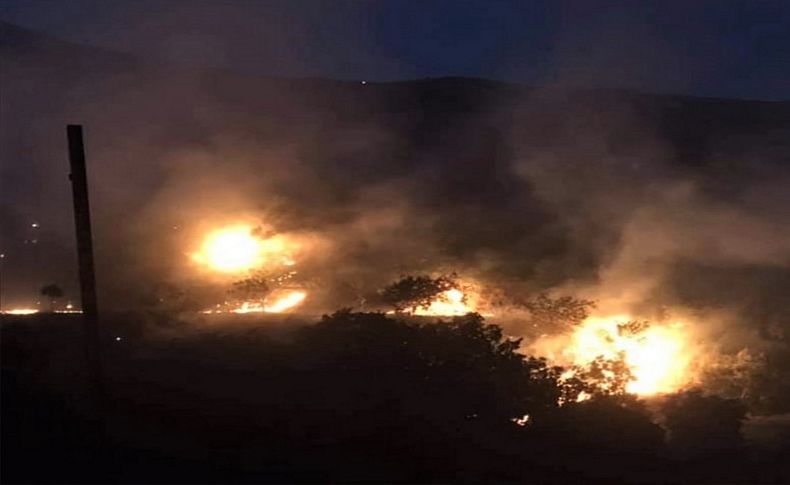 İzmir'de incir ve zeytin ağaçlarının bulunduğu 40 dekarlık alan yandı