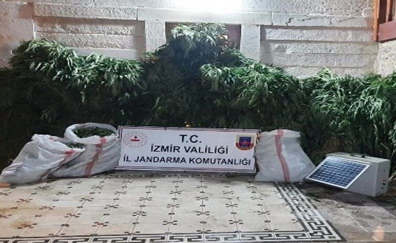 İzmir'de jandarmadan 9 ilçede uyuşturucu operasyonu