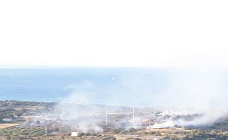 İzmir'de makilik alanda çıkan yangın söndürüldü