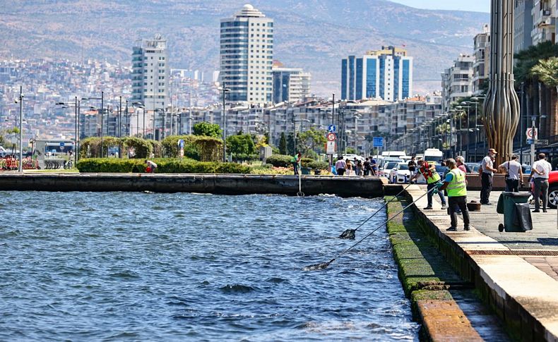 İzmir Körfezi'ndeki koku ve kirlilik artıyor