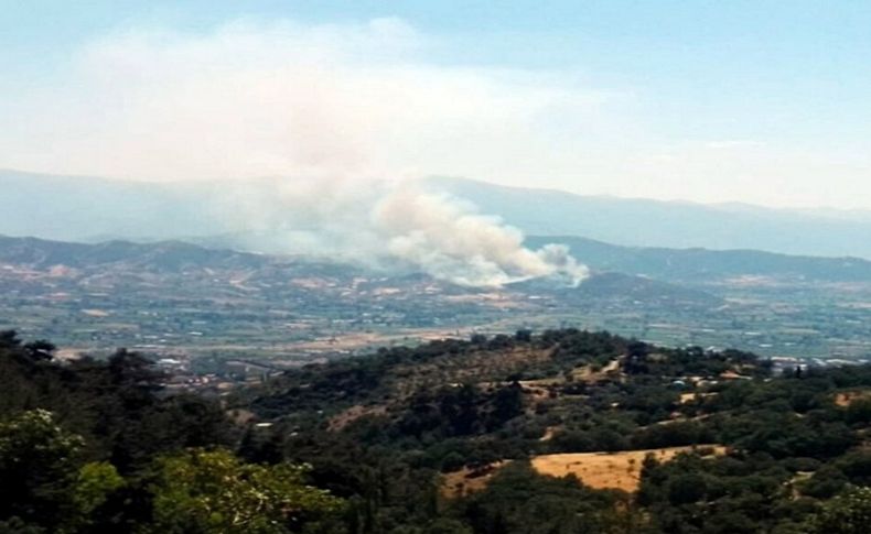 Kiraz'da orman yangını