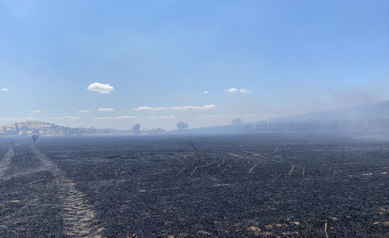 Tire'de nar ağaçları ile buğday tarlalarının bulunduğu alan yandı