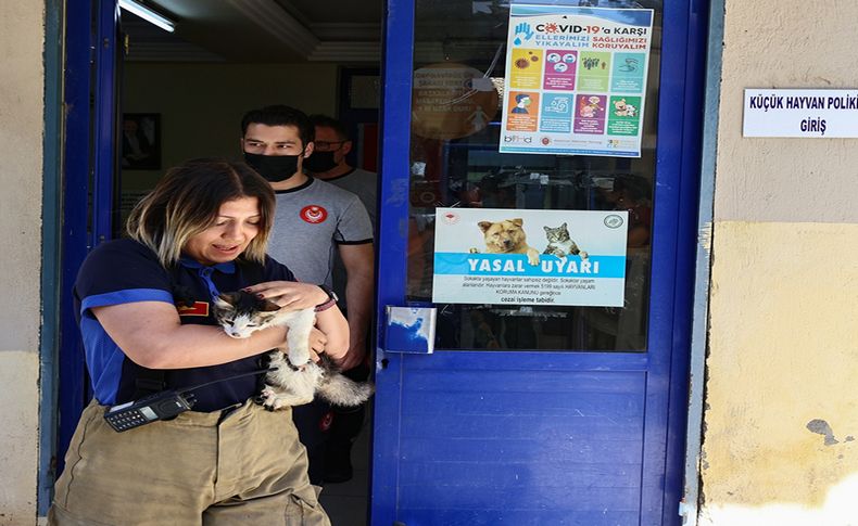 Yangında kurtarılan kediyi İzmir itfaiyesi sahiplendi