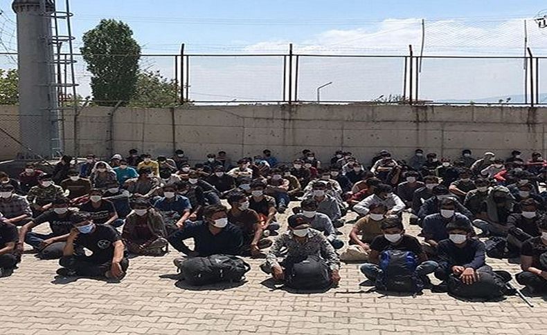 113 Afgan kaçak göçmen toplu halde yakalandı