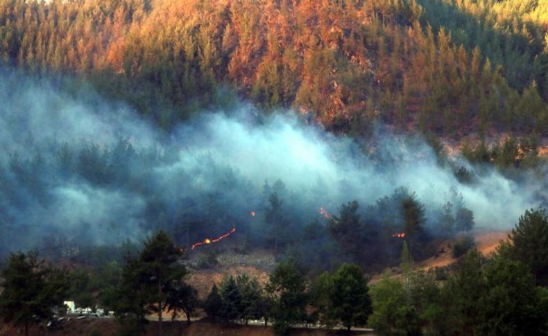 Adana'da köyleri tahliye ettiren yangına müdahale yeniden başladı