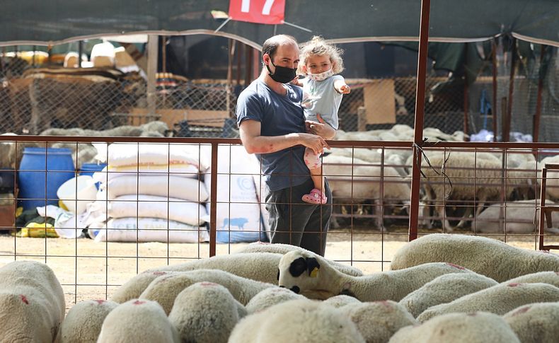 Bayraklı kurban satış yeri Kurban Bayramına hazır
