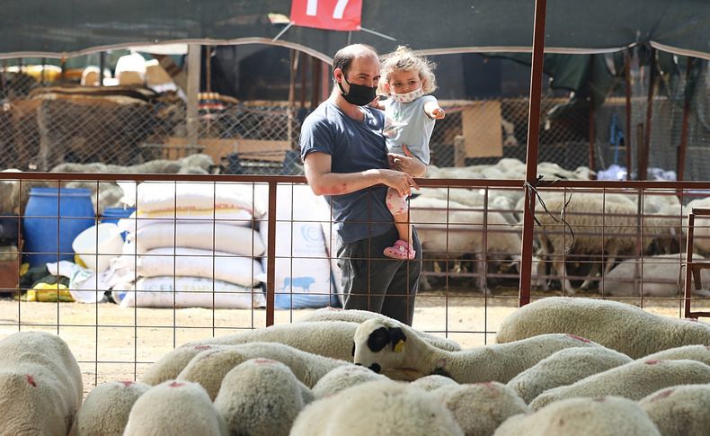 Bayraklı kurban satış yeri  Kurban Bayramına hazır