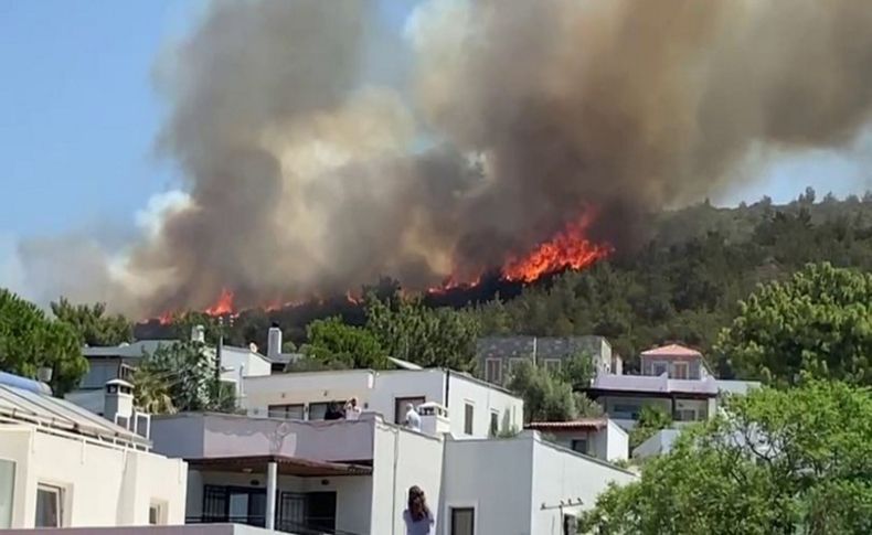 Bodrum'da bir yangın daha!