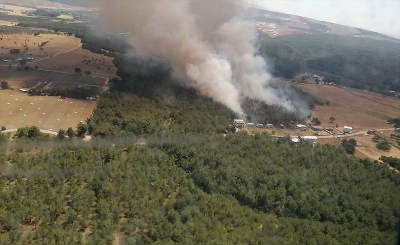 Bornova'daki orman yangını kontrol altına alındı