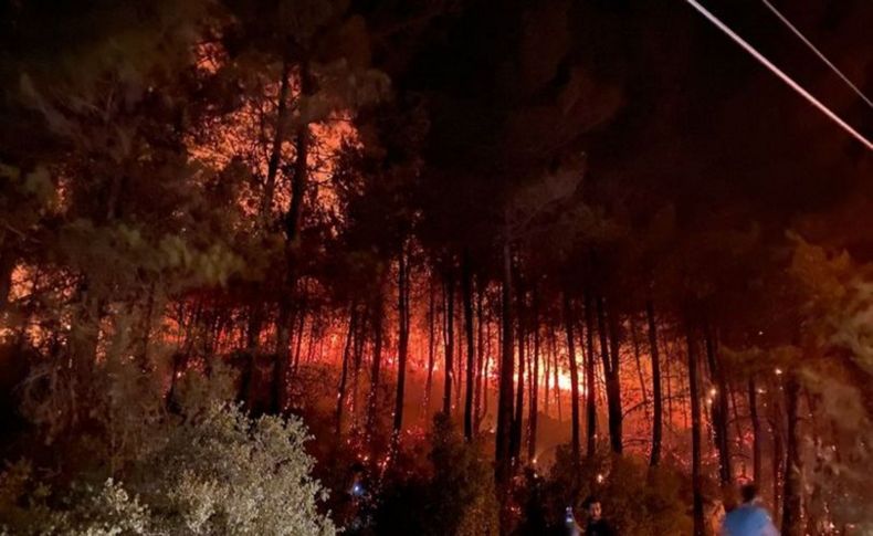 Fethiye'de çıkan orman yangını kontrol altına alındı