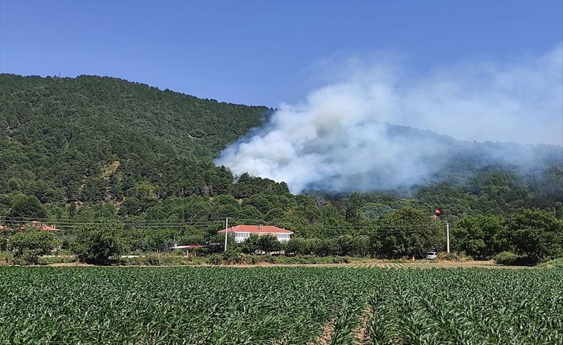 İzmir'in iki ilçesinde çıkan orman yangınları kontrol altına alındı