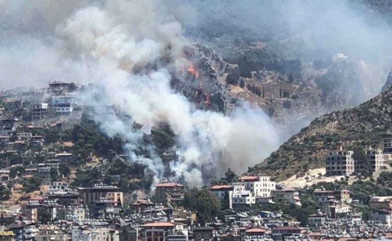 Hatay'da korkutan orman yangını!