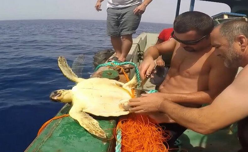 İplere takılan deniz kaplumbağasını balıkçılar kurtardı
