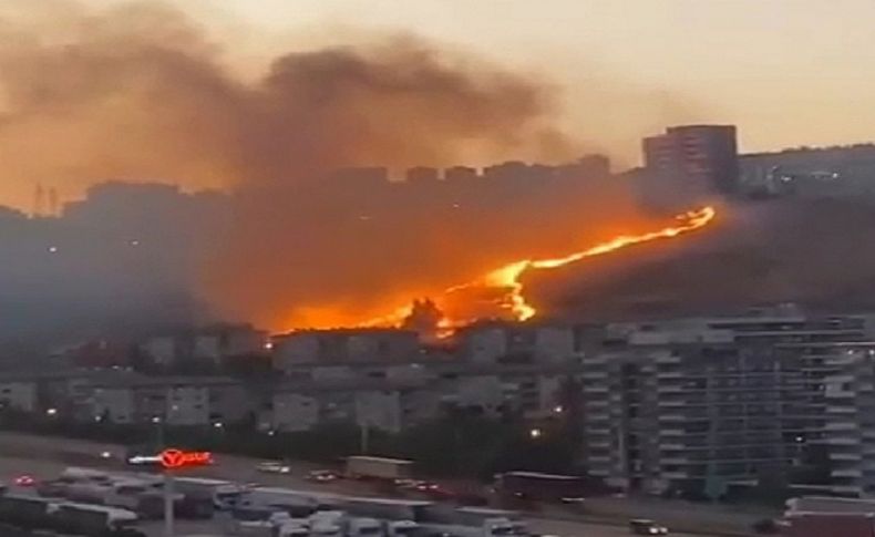İzmir'de otluk alanlarda çıkan yangınlar söndürüldü! Kundaklama şüphesi