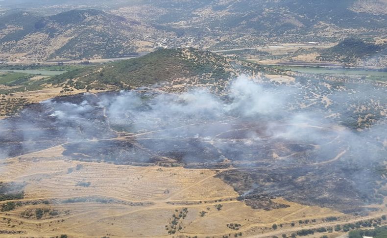 İzmir'de zeytinlik ve makilik alandaki yangın söndürüldü