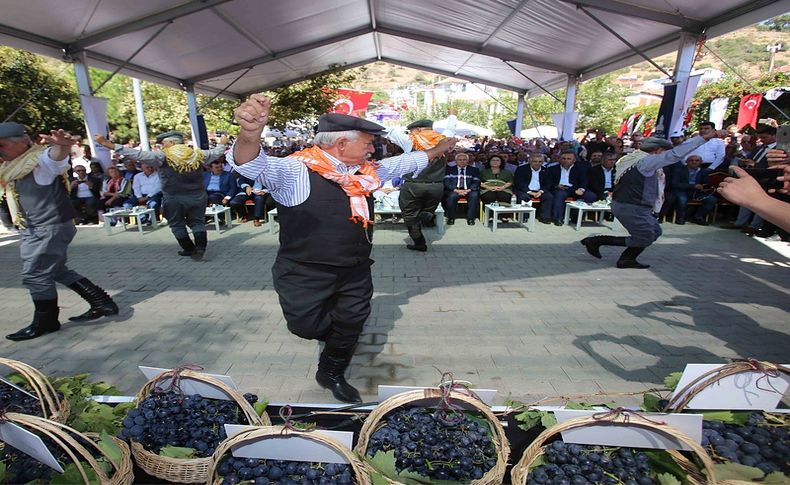 Kavacık Üzüm Festivali geri dönüyor