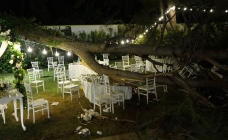 Kır düğününde ağaç devrildi: Ölü ve yaralılar var