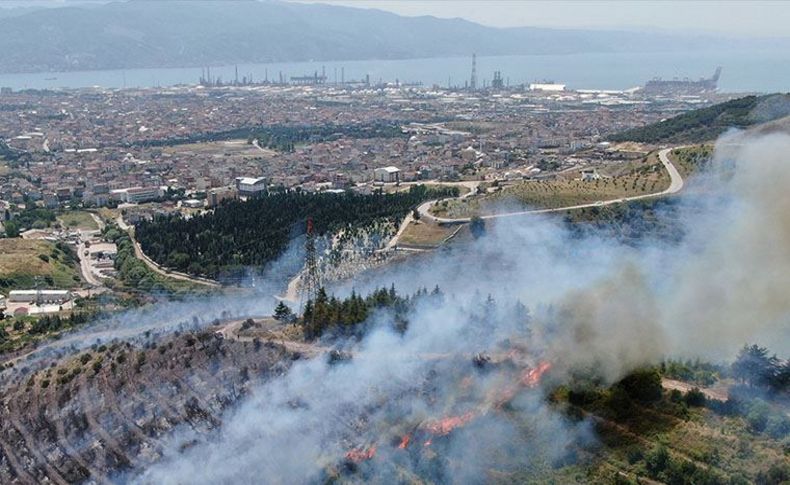 Kocaeli’deki orman yangını kontrol altına alındı
