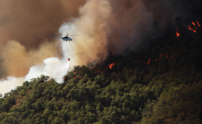 Marmaris'teki orman yangının nedeni belli oldu