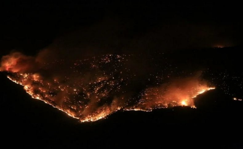 Mersin, Osmaniye ve Adana'da orman yangınları