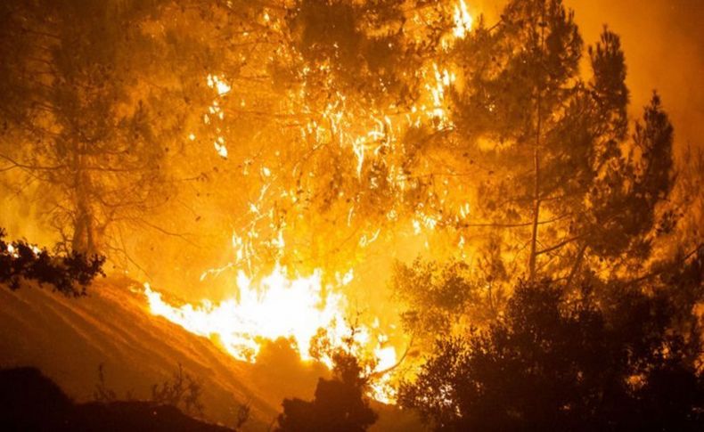 Mersin ve Hatay'daki orman yangınları hakkında açıklama
