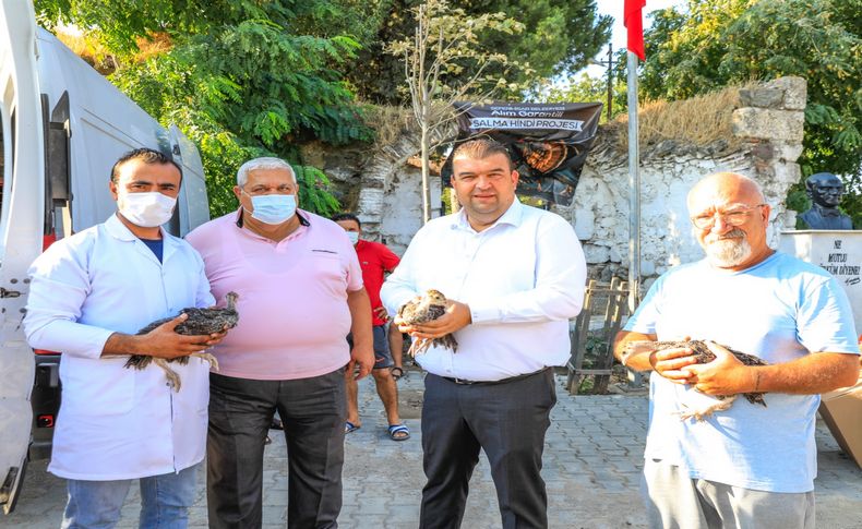 Seferihisar Belediyesi üreticiye ücretsiz hindi dağıttı!
