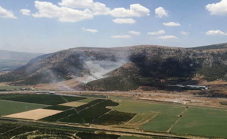 Selçuk'ta korkutan yangın