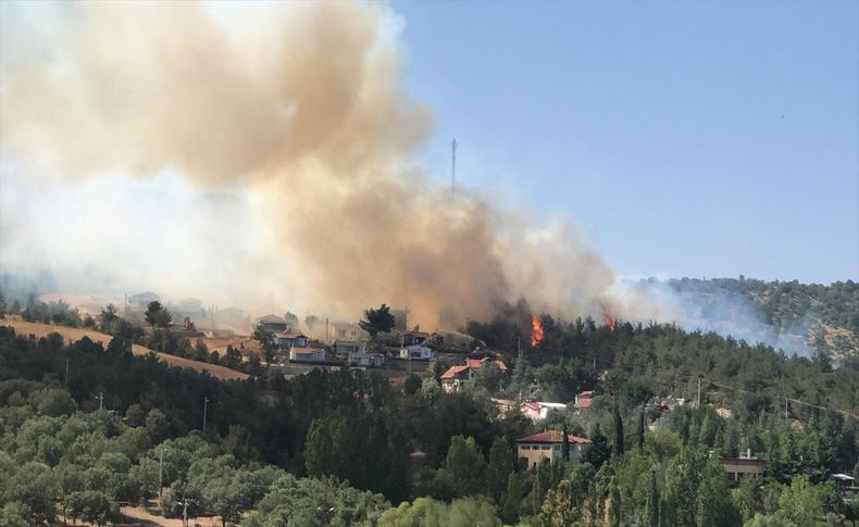 Uşak'taki orman yangını kontrol altına alındı