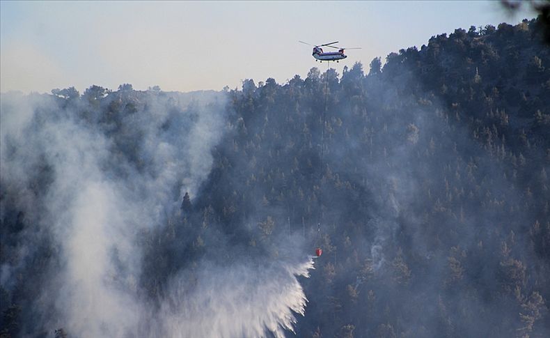 174 yangının 160'ı kontrol alındı, 14'ü devam ediyor