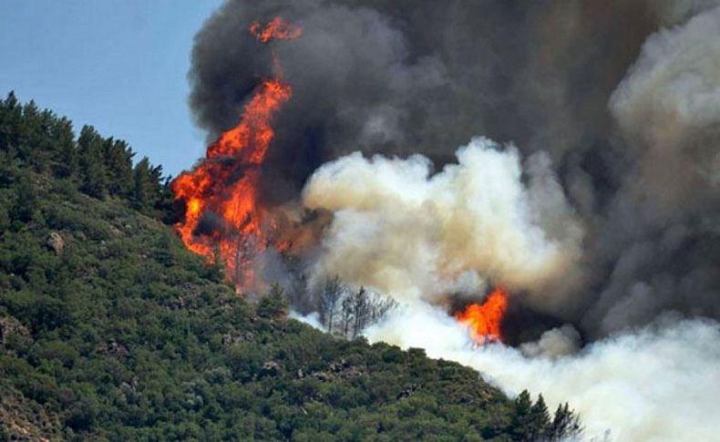 Antalya, Bodrum ve Marmaris'te yangınlar söndürüldü