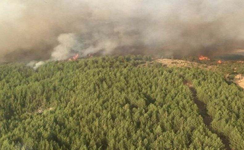 Aydın’da başladı, Muğla’ya sıçradı