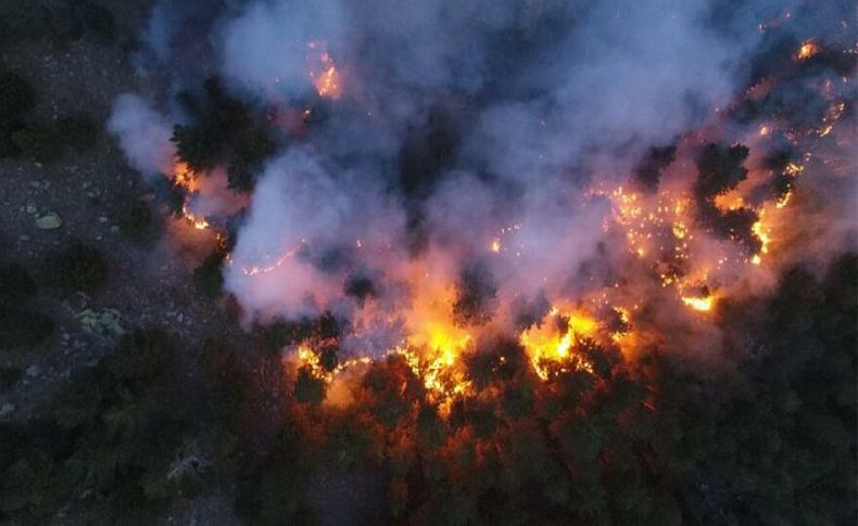 Burdur’da korkutan gelişme! Evler boşaltıldı, yangın Antalya’ya ilerliyor