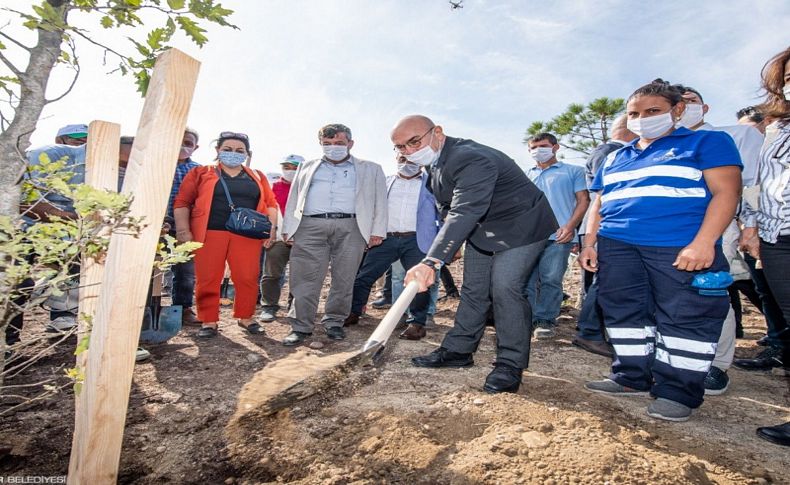 Büyük yangının ikinci yılında yeşil seferberlik çağrısı