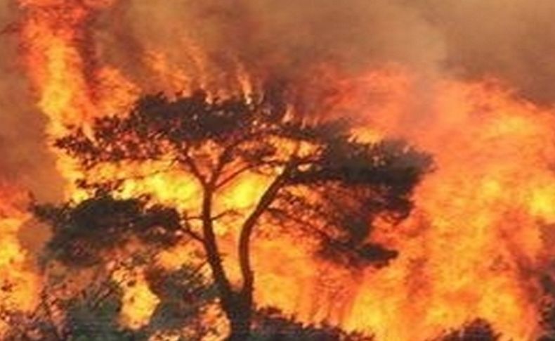 Çanakkale’de aynı bölgede 6’ncı orman yangını
