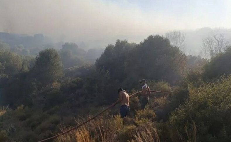 Datça'da başlayan orman yangını kısa sürede söndürüldü