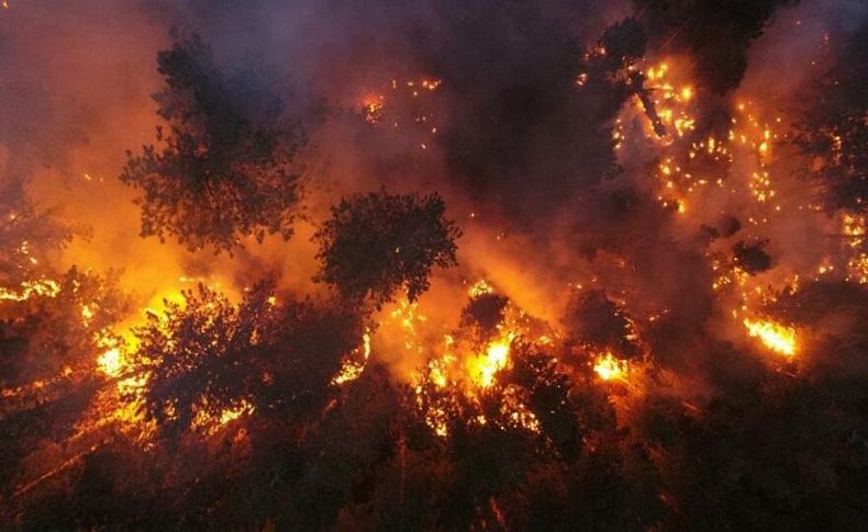 İletişim Başkanlığı açıkladı: İşte Türkiye’deki orman yangınlarında son durum