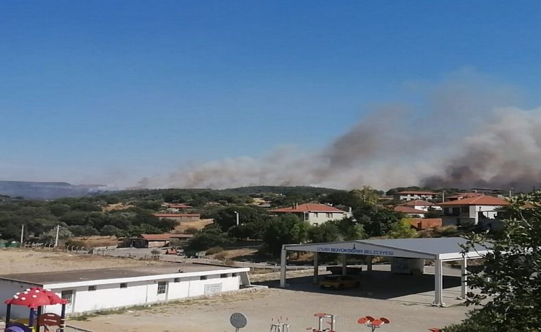 Foça'da korkutan yangın: Hızlı müdahale sonuç verdi