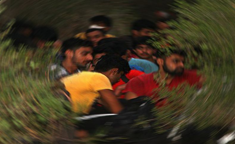 İzmir'de ormanlık alanda 25 düzensiz göçmen yakalandı